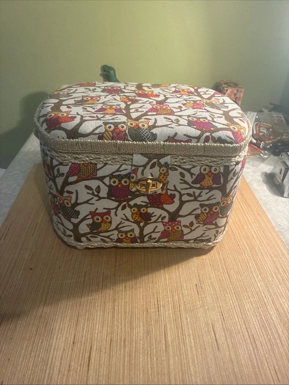 Owl Print Seeing  Box in Cream and Multicolor